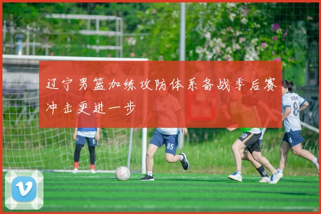 辽宁男篮加练攻防体系备战季后赛冲击更进一步