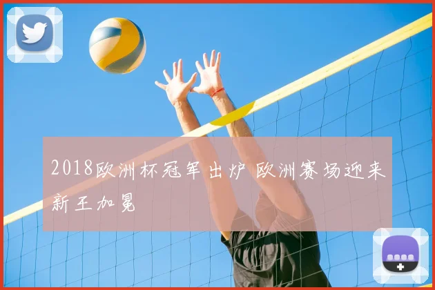 2018欧洲杯冠军出炉 欧洲赛场迎来新王加冕