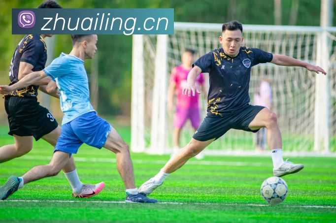 星空电竞网页版入口平台生态图